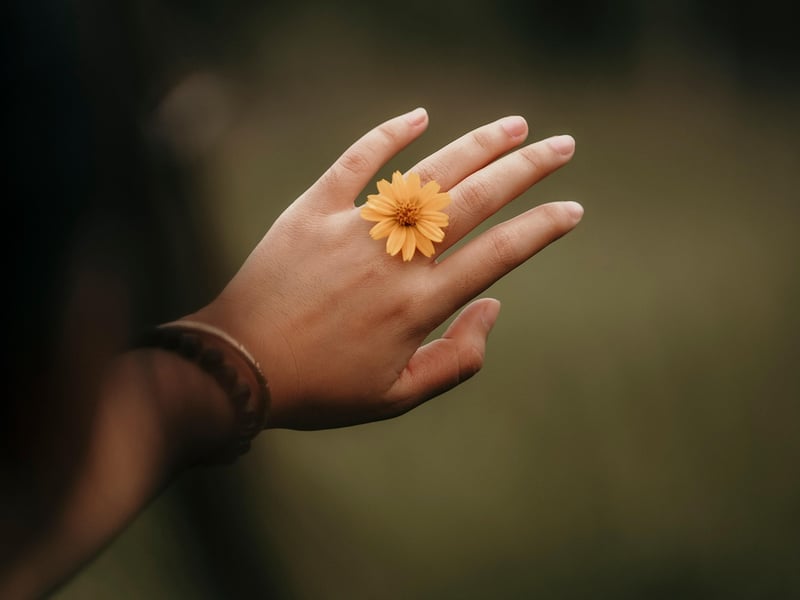 Nature-inspired accessories